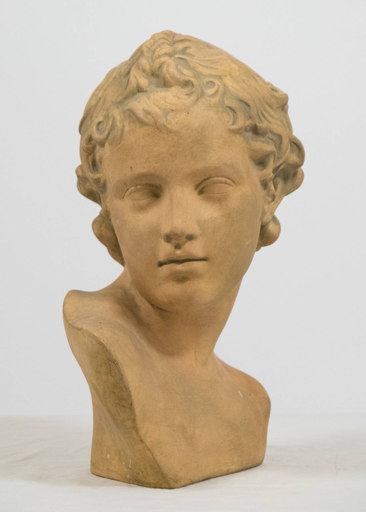 French antique bust of Adonis as a child, plaster with a terracotta patina. A beautiful piece with great decorative impact.