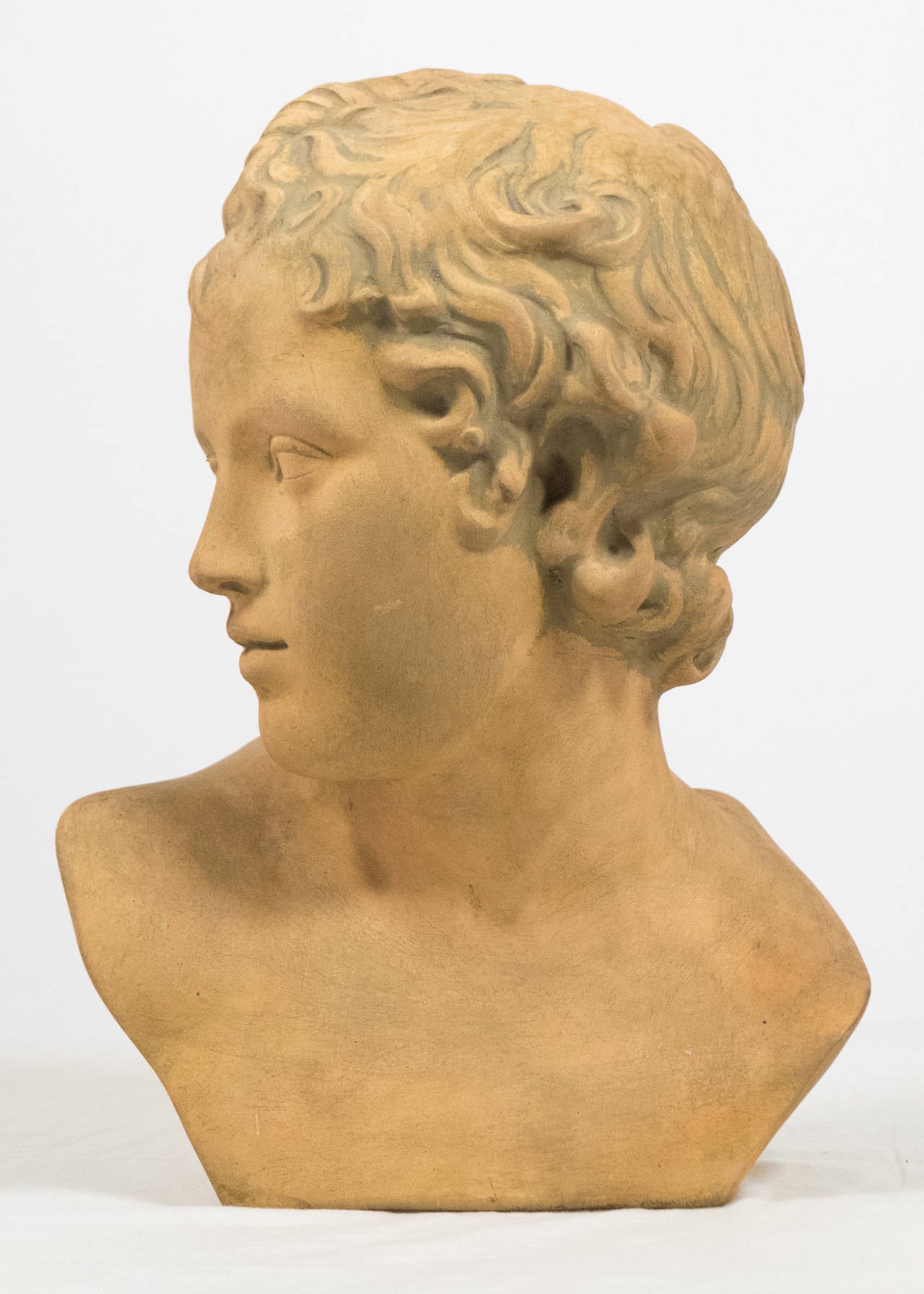 Plaster French Antique Bust of Adonis