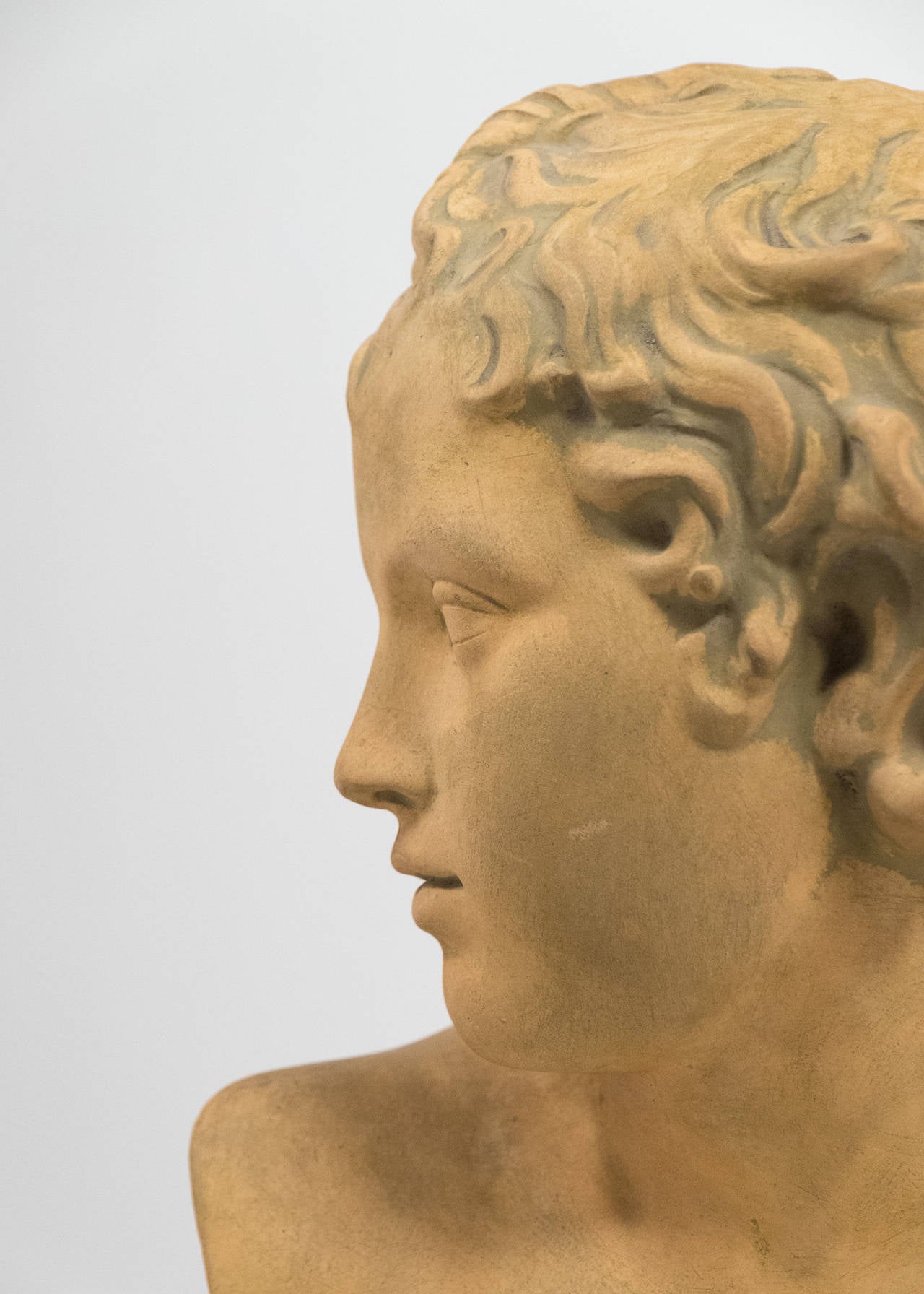 French Antique Bust of Adonis 1