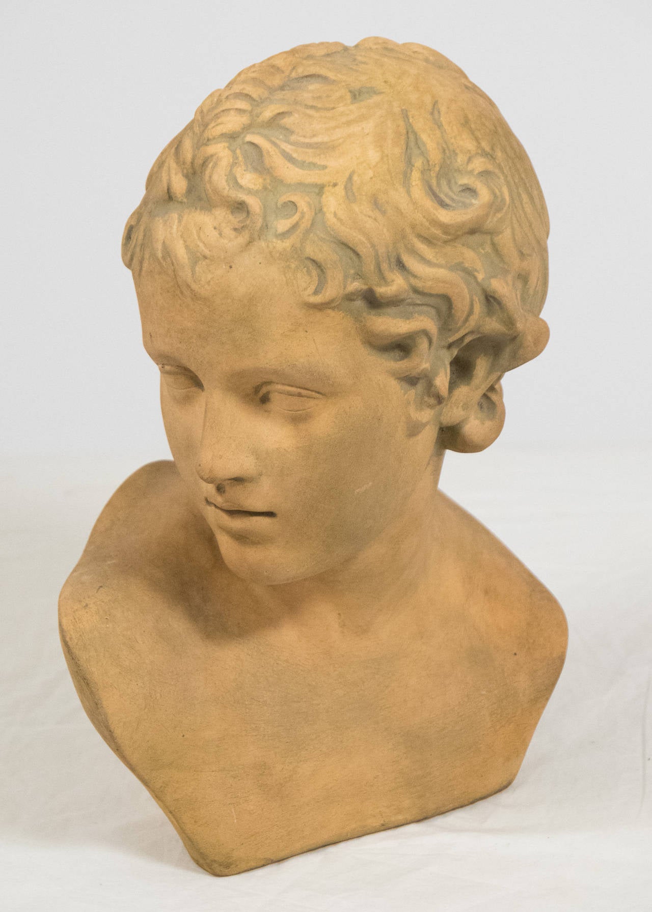 French Antique Bust of Adonis 2