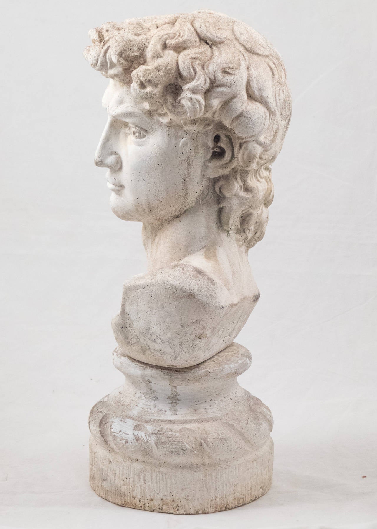 Early 20th Century French Vintage Bust of David