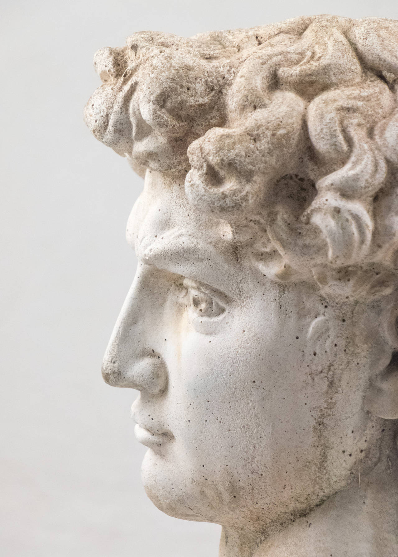 French Vintage Bust of David 3