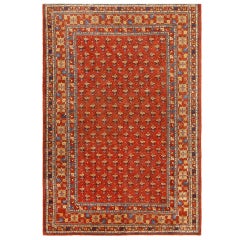 Antique Khotan Carpet from East Turkestan 9