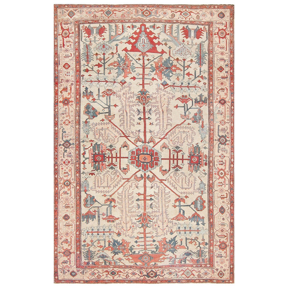 Antique Ivory Background Serapi Rug