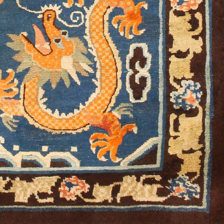 oriental dragon rug
