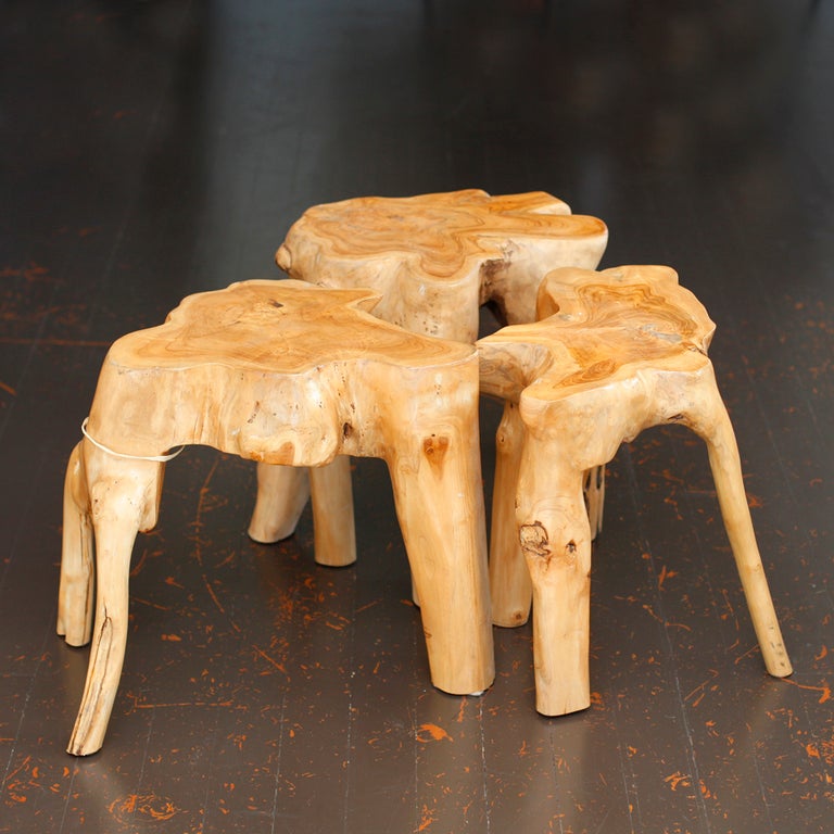 Indonesian stools fashioned from mangrove roots have been cut & polished. (Priced individually at $1,500 each)