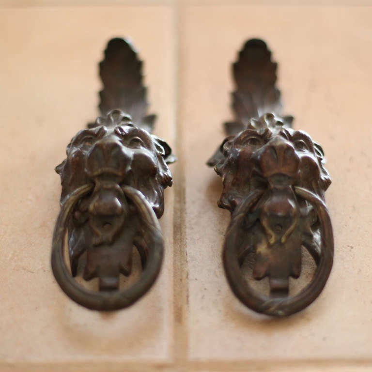 Pair of bronze lions head door knockers. Lion head set on acanthus leaves, with rings of wheat.