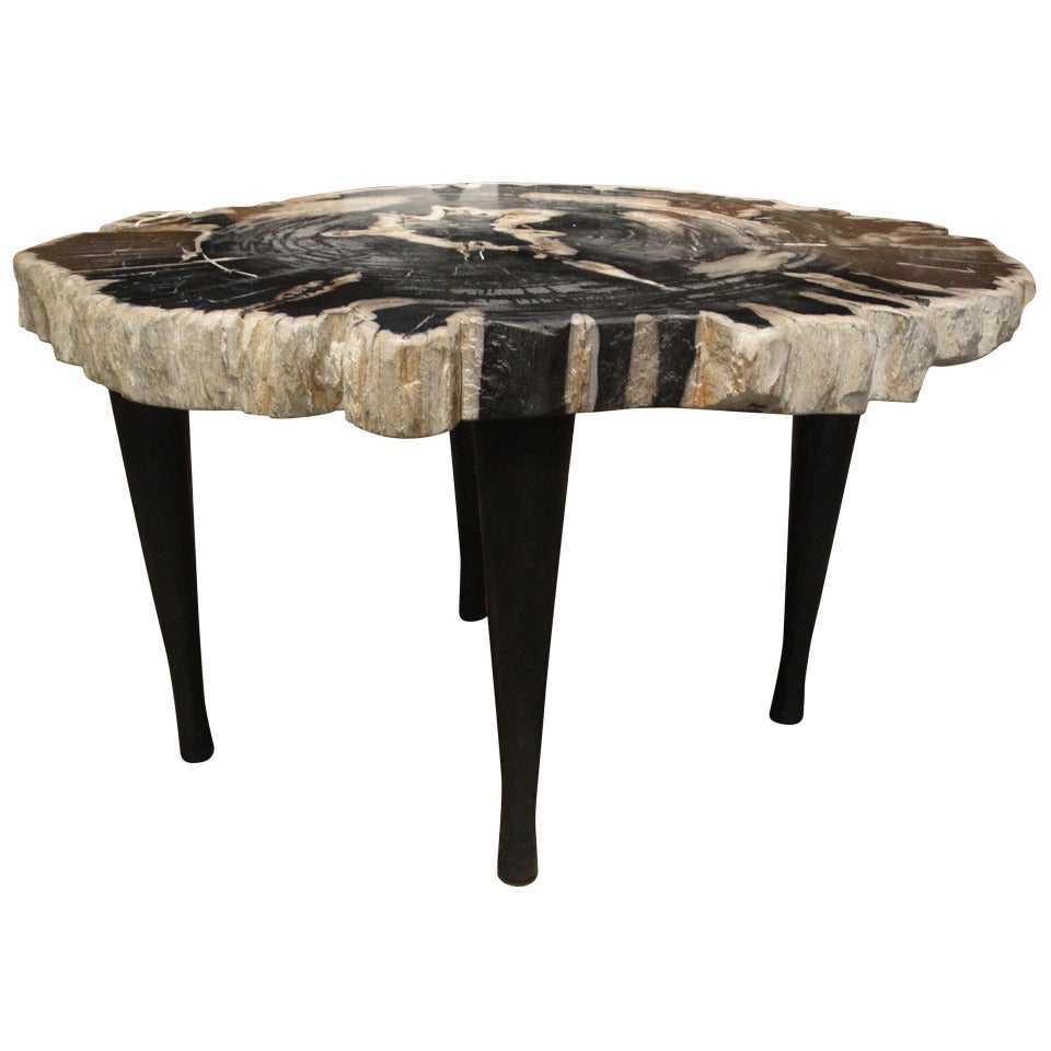 Large Petrified Wood Table with 4 Hand Forged Iron Legs