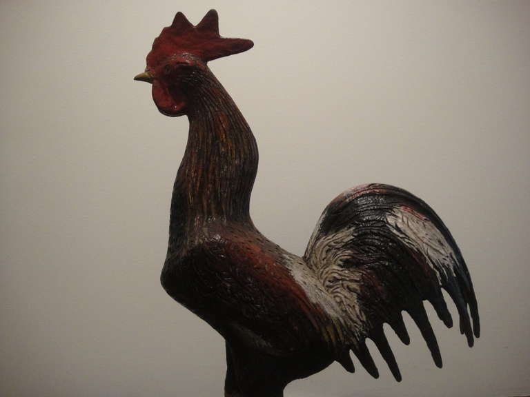 Herbal Store Rooster Mascot 2