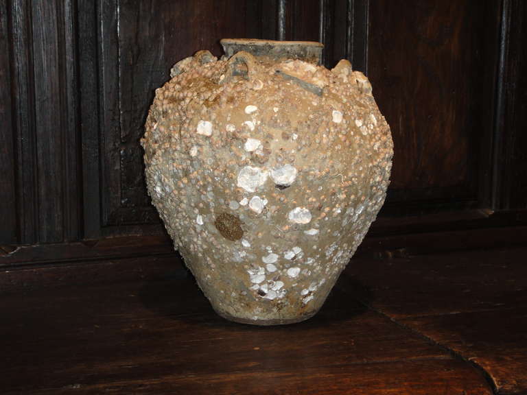 Storage Jar with Marine Adhesions