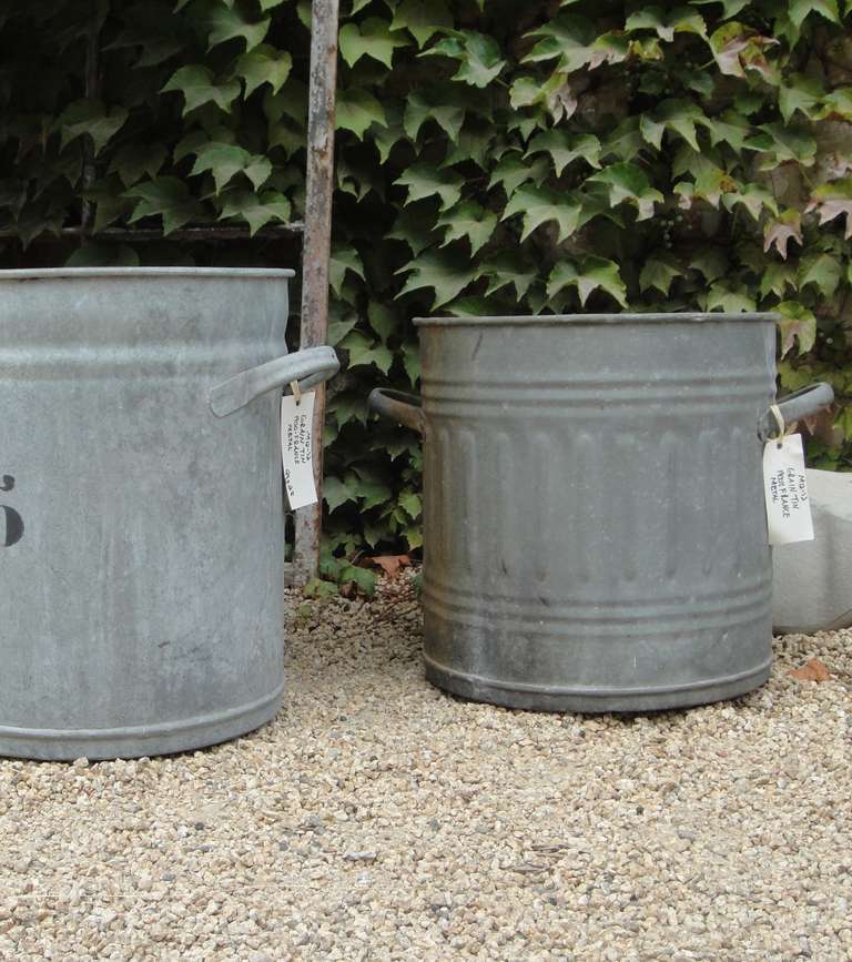 Early 20th Century French Metal Grain Tins In Excellent Condition For Sale In Napa, CA