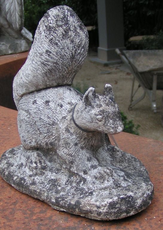Italian Stone Squirrel