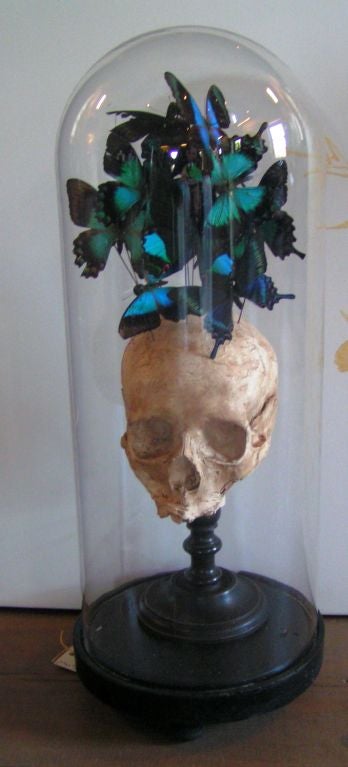 Domed Skull with Butterflys