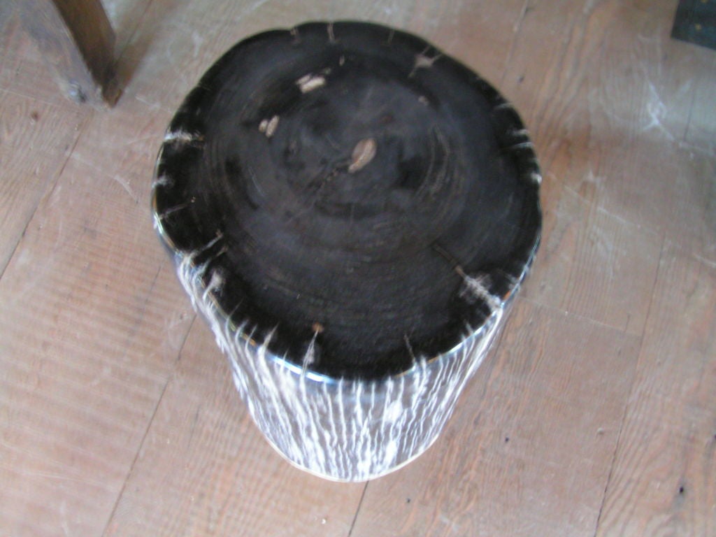American Petrified Wood Stool