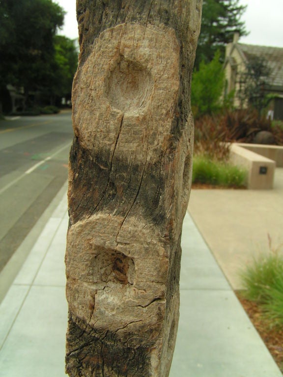 A vintage oyster stick, used in oyster cutivation, mounted on a steel base.  We have three available, sold separately.