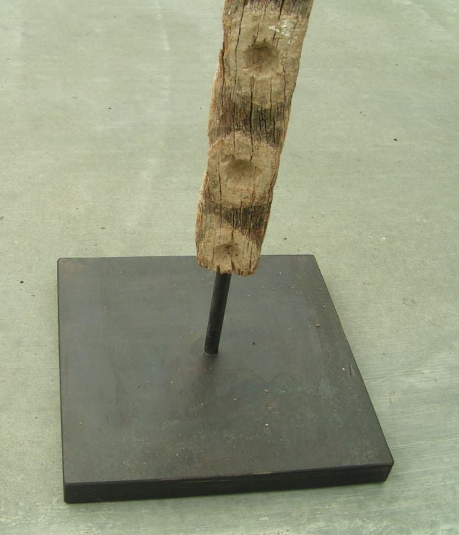 oyster sticks