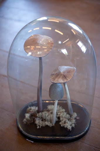 Wooden painted mushroom grouping under domed glass. Originally educational teaching specimen. Hand-blown glass dome on original black painted wooden base.
