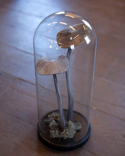 Wooden painted mushroom groupings under domed glass. Originally educational teaching specimen. Hand-blown glass dome on original black painted wooden base.

