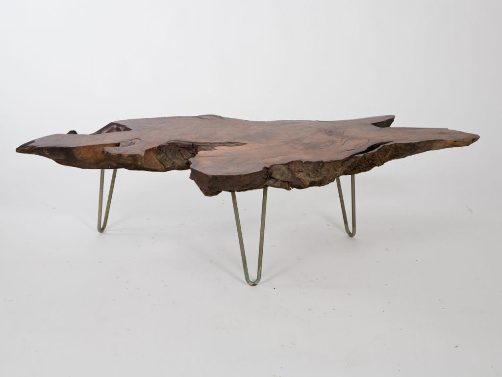 Free form, Mid-Century wood slab coffee table with metal legs.