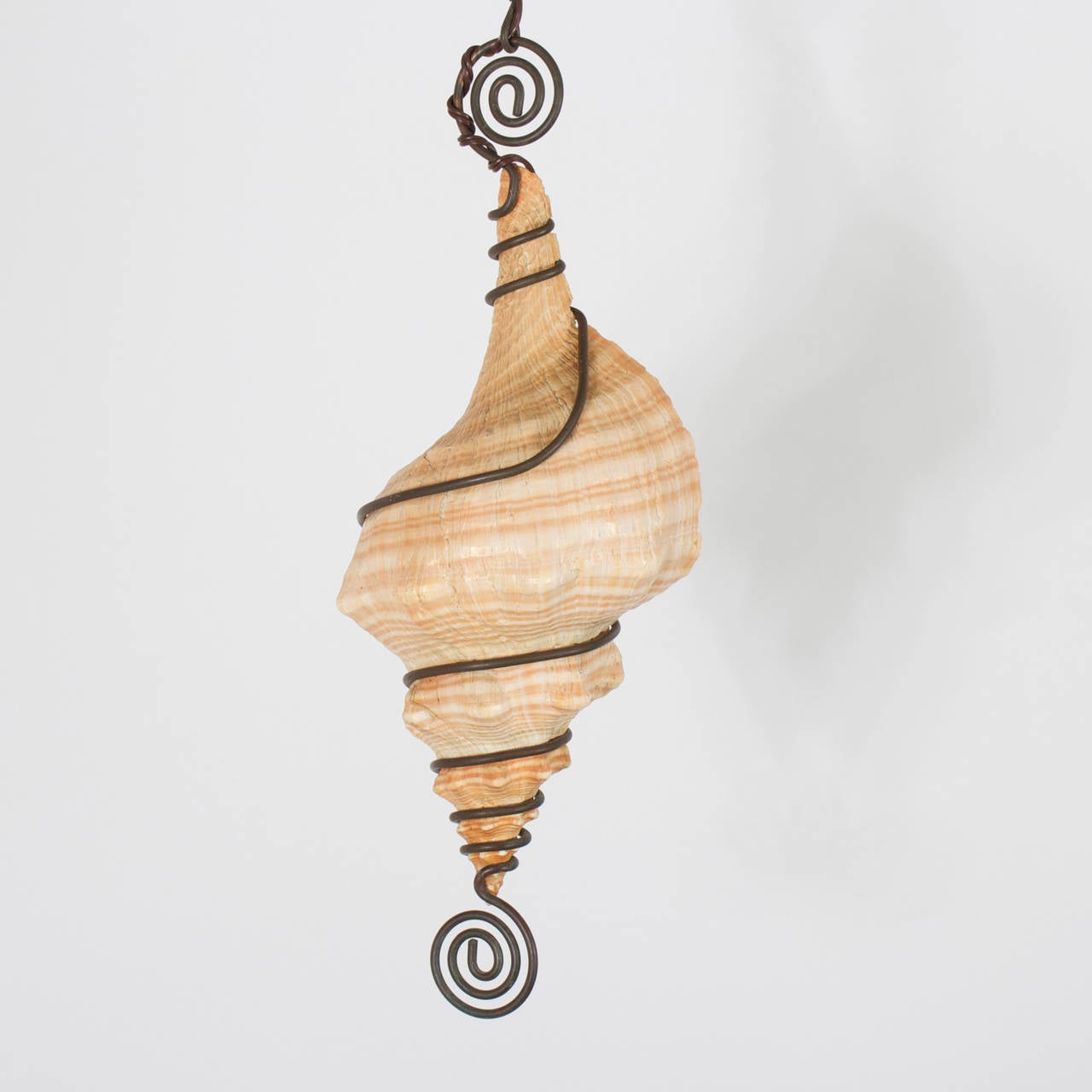 A seashell pendant light made with a horse conch shell, wrapped in a custom sculptural, spiraling, iron frame. Warm amber glow when lit. Newly wired.

 