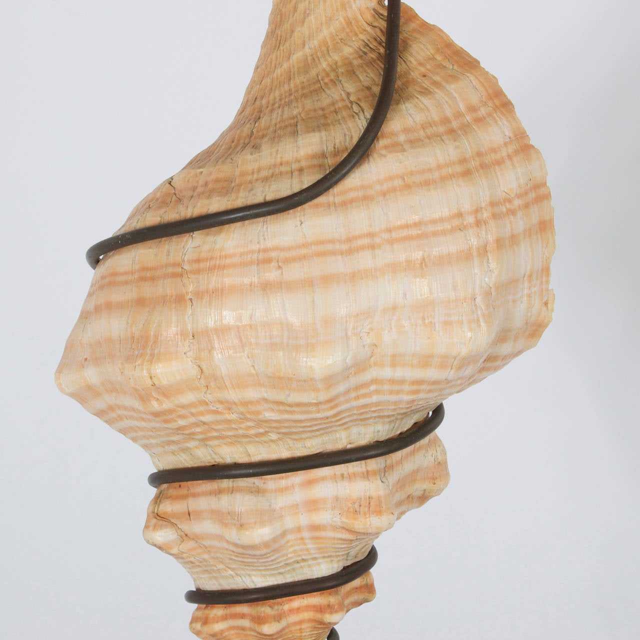 seashell hanging lamp