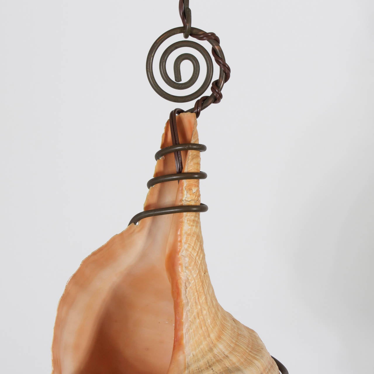 American Seashell Pendant Light with Spiraling Iron Frame