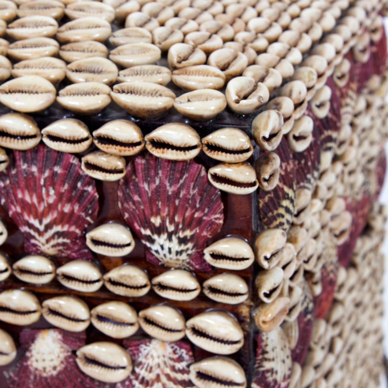 Philippine Large Seashell Encrusted Box with Slivered Crustacean Accents