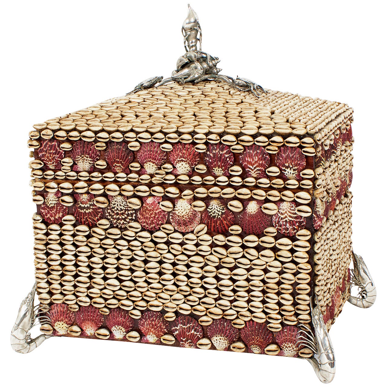 Large Seashell Encrusted Box with Slivered Crustacean Accents