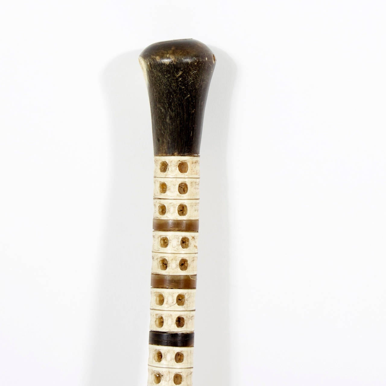 stick bone