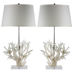 Pair of Staghorn Coral Lamps on Lucite Bases