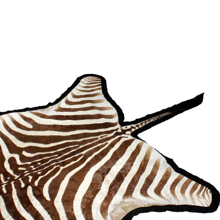 Large Well Marked Burchell Zebra Hide on Felt Rug 1