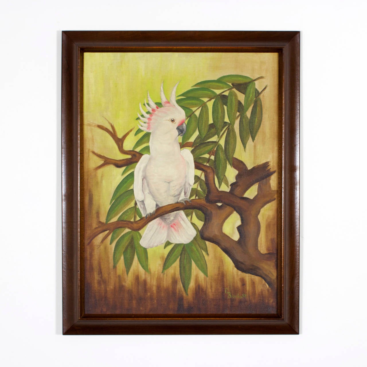 Set of 4 folky, colorful naive oil on canvas paintings of birds, including a parrot and toucan, perched in natural tropical environments signed Bishoff. Original frames. Large size adds appealing decorative value.