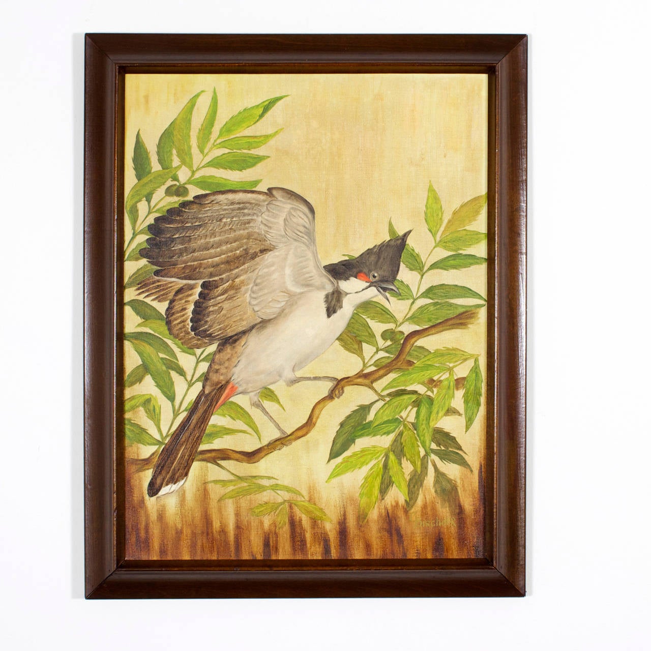 20th Century Set of Four Oil on Canvas Tropical Bird Paintings