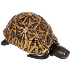 Early 20th Century Indian Star Tortoise Box