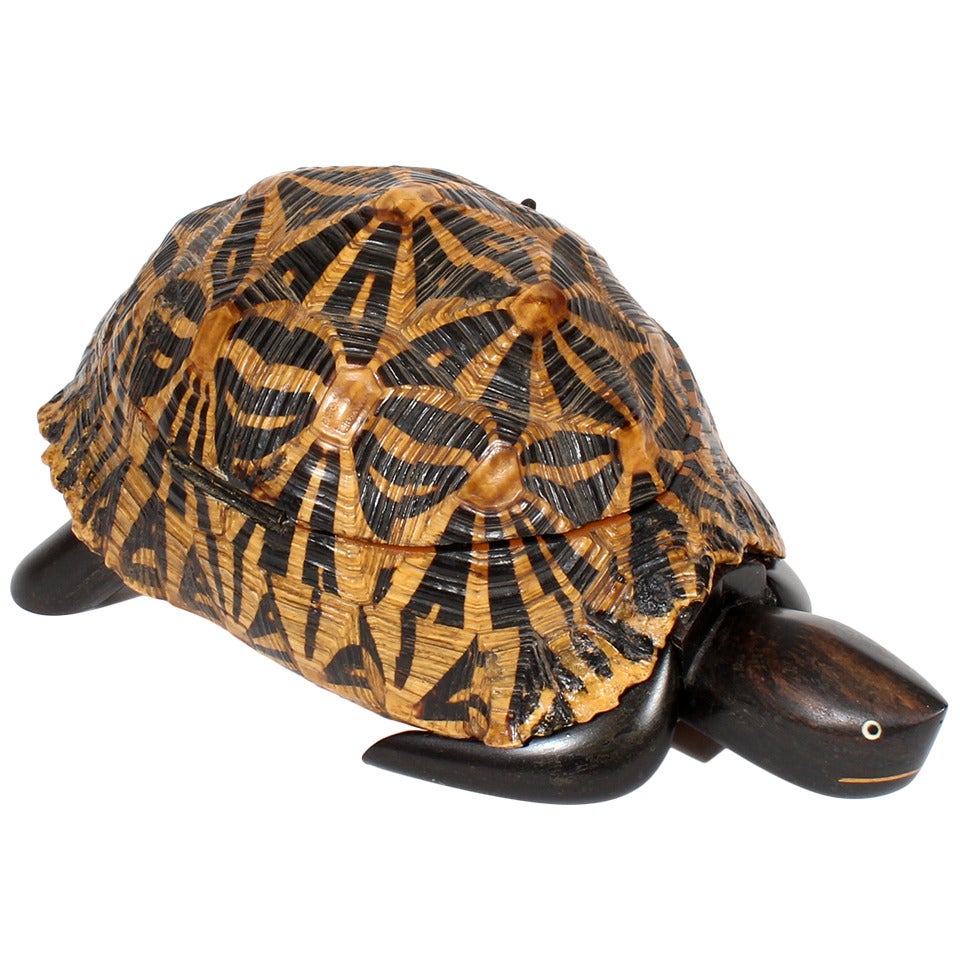 Early 20th Century Indian Star Tortoise Box