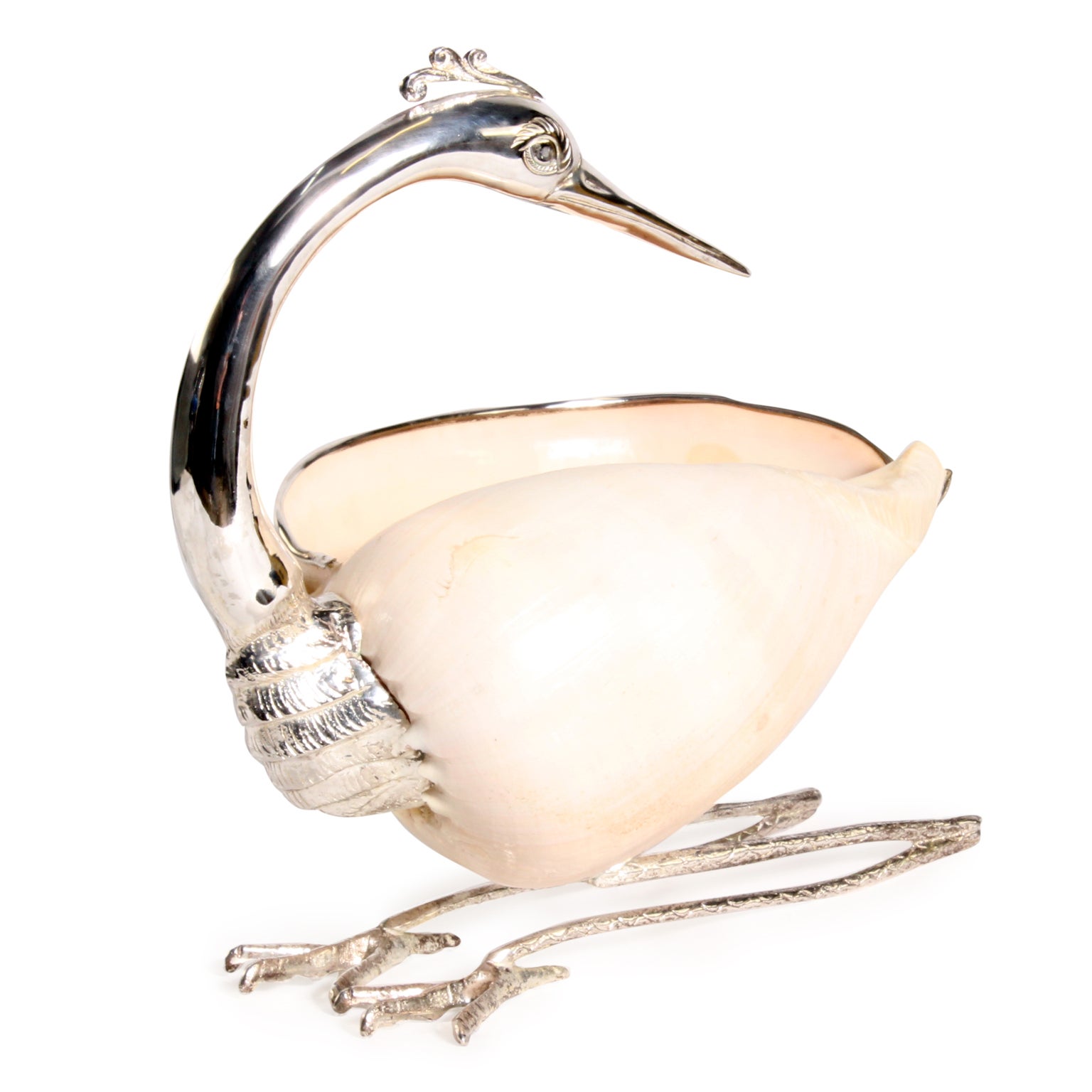 Voluta Shell Mounted as a Bird with Silver Plated Details