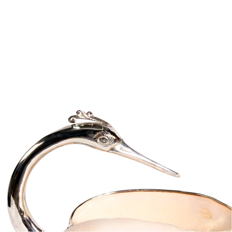 Organic Modern Voluta Shell Mounted as a Bird with Silver Plated Details