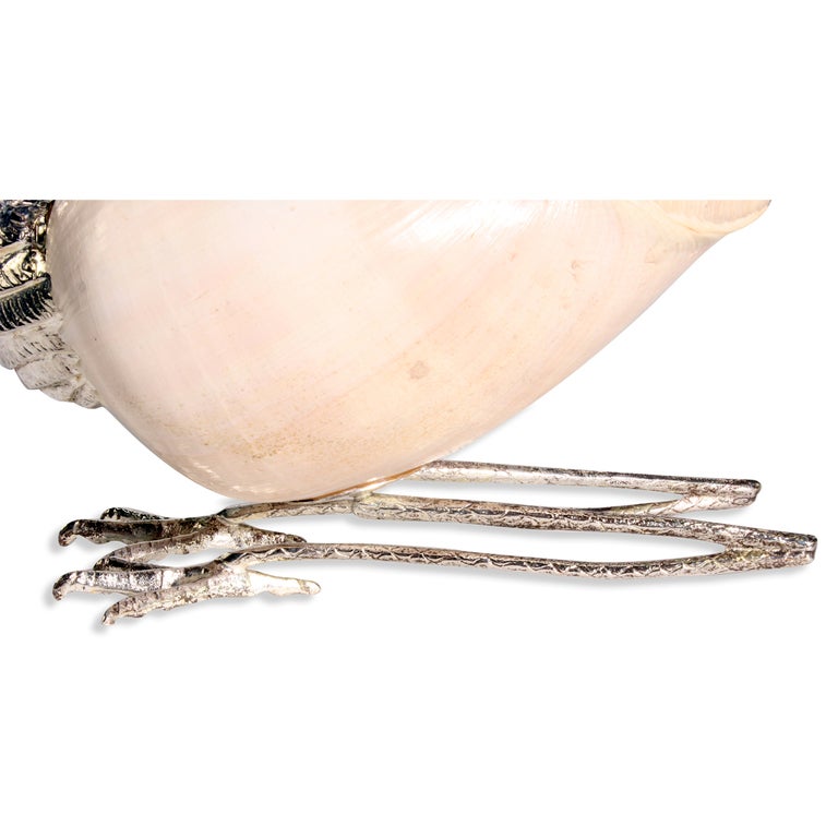 Italian Voluta Shell Mounted as a Bird with Silver Plated Details