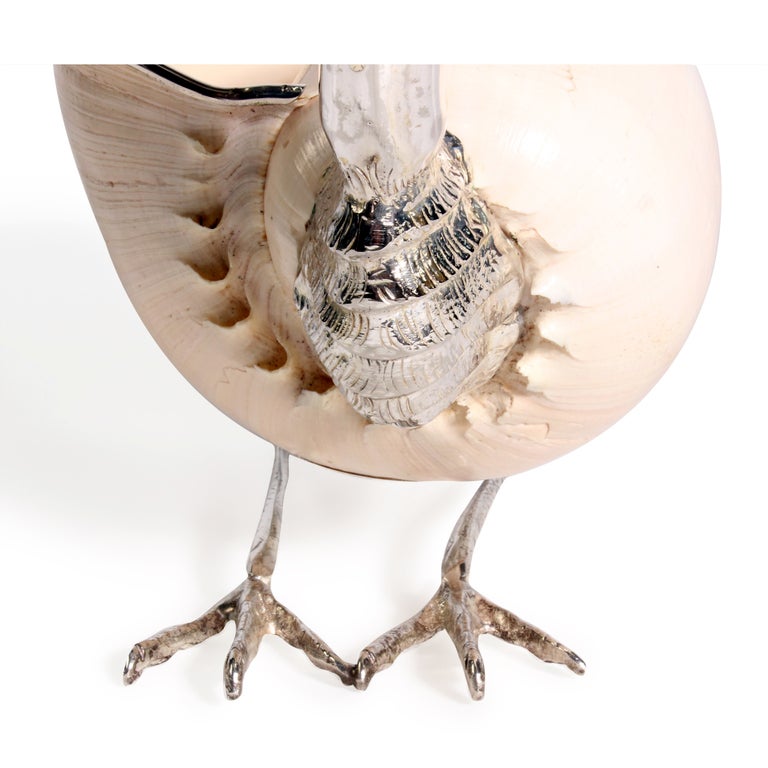Voluta Shell Mounted as a Bird with Silver Plated Details In Excellent Condition In Palm Beach, FL