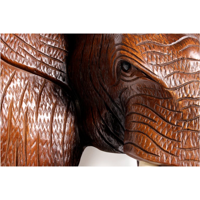 large elephant head