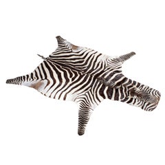 Retro A Burchell Zebra Rug