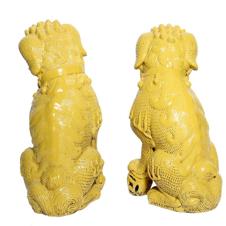 Pair of Large Mid Century Yellow Glazed Foo Dogs 1