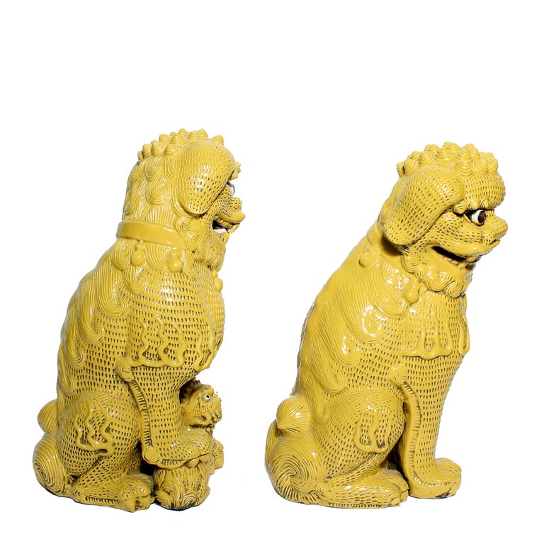 Mid-20th Century Pair of Large Mid Century Yellow Glazed Foo Dogs
