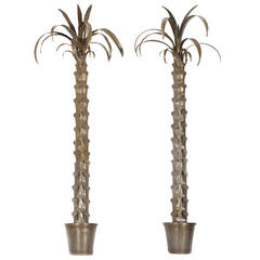 Pair of Tall and Stately Wall Mounted Potted Palm Trees