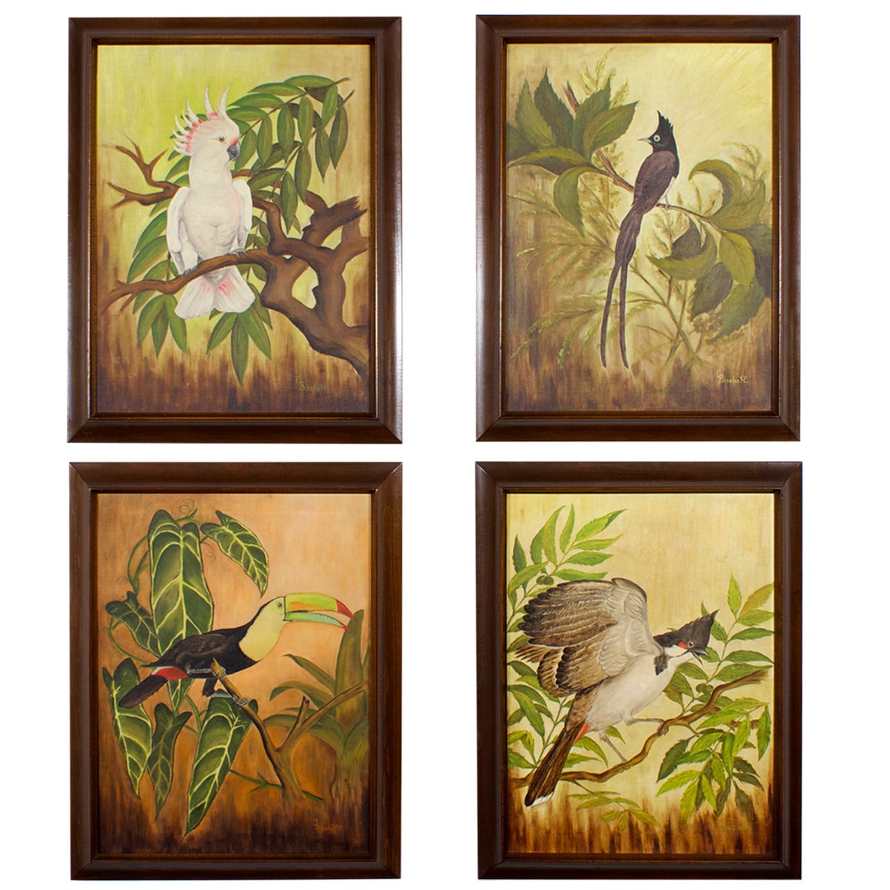 Set of Four Oil on Canvas Tropical Bird Paintings