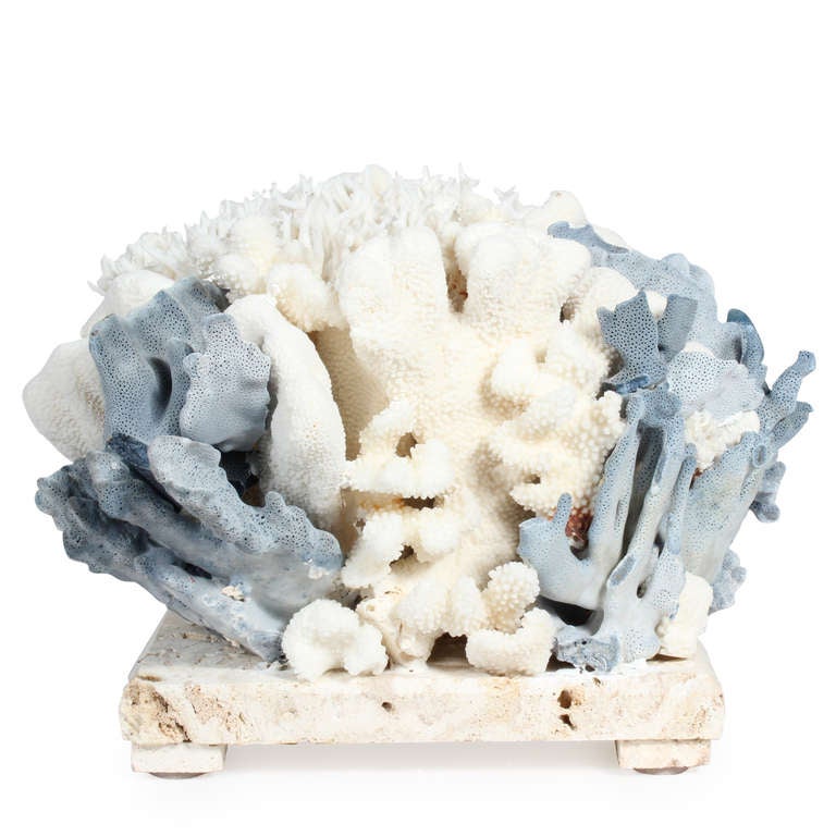 Blue and White Coral Centrepiece at 1stdibs