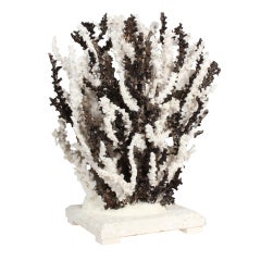 Black and White Octopus Coral Centerpiece or Sculpture