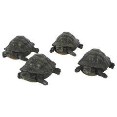 Four Vintage Bronze Turtles or Tortoises, Priced Individually