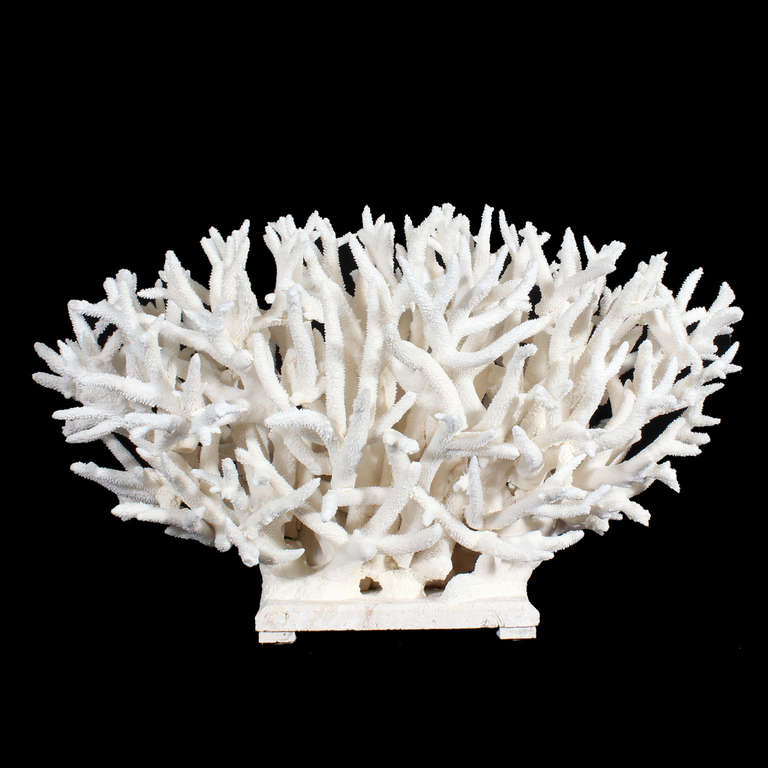 large coral centerpiece