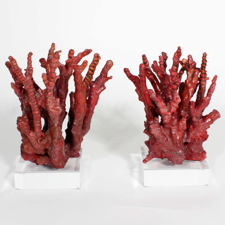 Two Chinese Bamboo Red Coral Trees